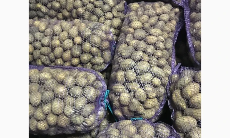 Пропоную насінневу картоплю сорту Арізона - фото № 1