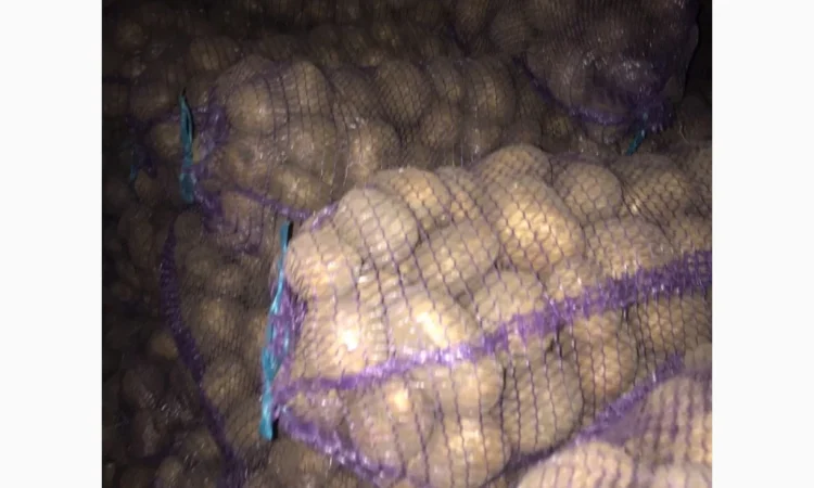 Продается товарная картошка сорта Аризона - фото № 1