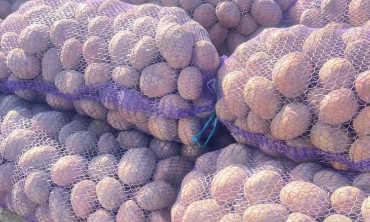 Картопля від населення - фото № 1