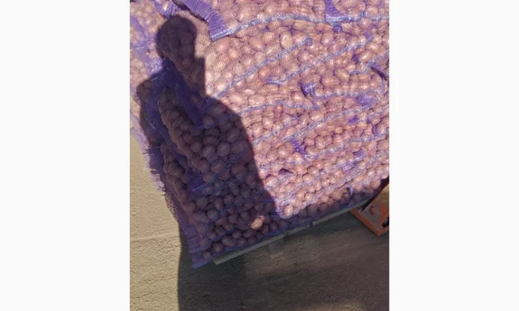 Продается семена Белароса - фото № 3