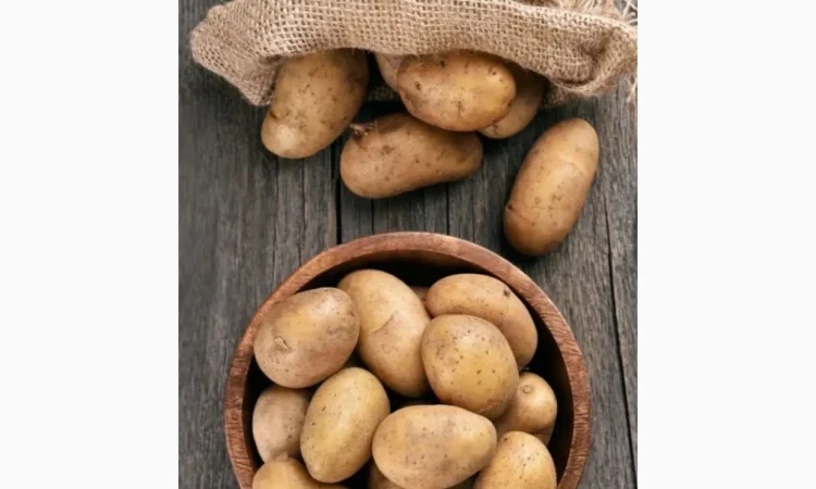 Куплю картошку оптом от 20 тонн - фото № 1