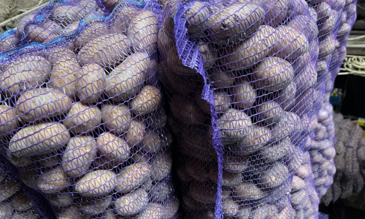 Продается картофель сорт Аризона - фото № 4