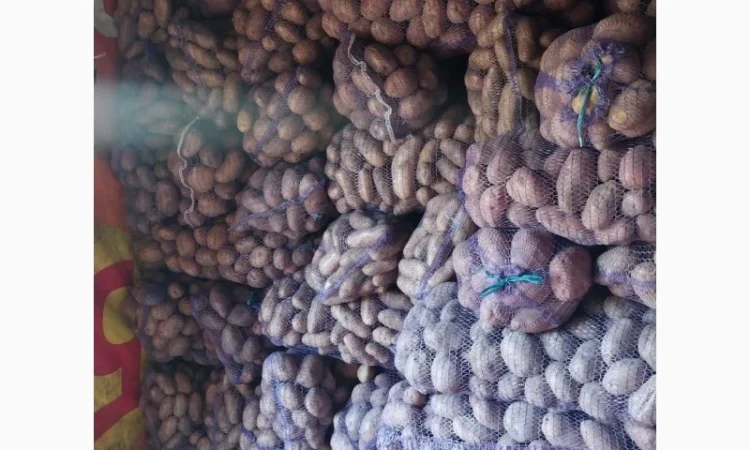 Продается картофель от населения - фото № 2