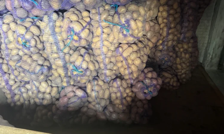 Продается картофель от населения - фото № 4