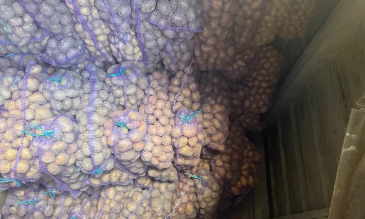 Продается картофель от населения - фото № 5