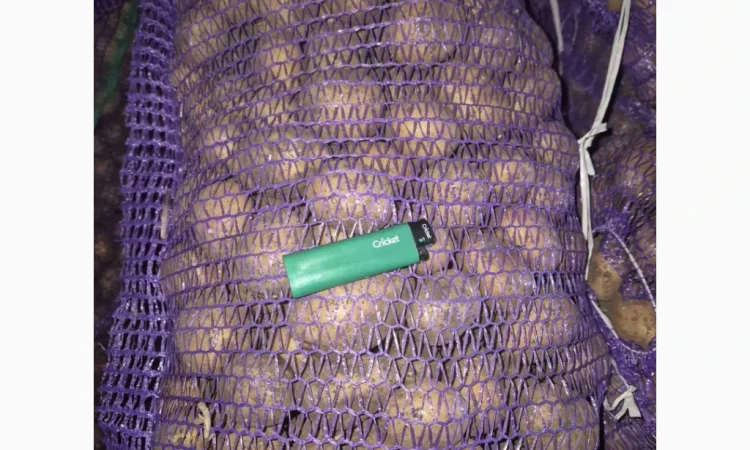 Продажа семенного картофеля разных сортов - фото № 1