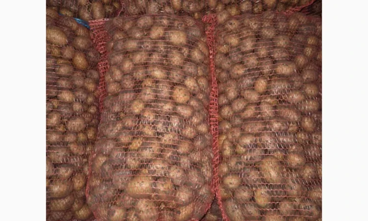 Продажа семенного картофеля разных сортов - фото № 2