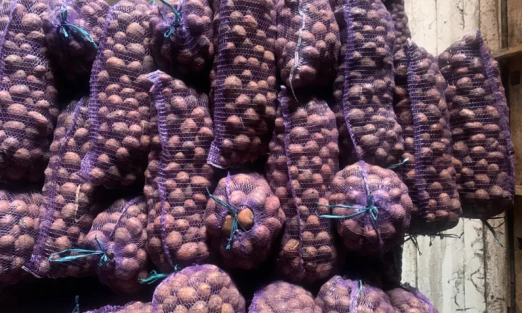 Продается семенной картофель - фото № 6