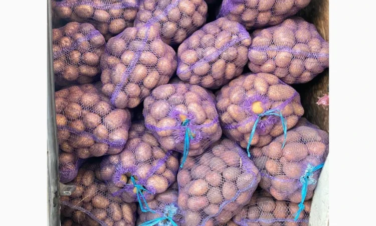 Продаж картоплі різних сортів - фото № 1