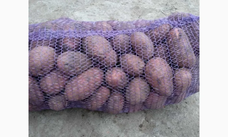 Продается семенная картошка различных сортов - фото № 1