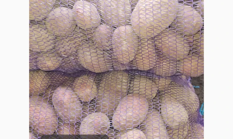 Продается товарный картофель сорта Бела роса - фото № 1