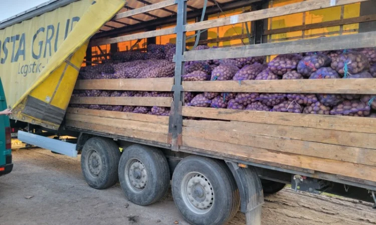 Продается семенной картофель по 4.50 грн/кг - фото № 4