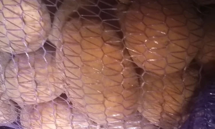 Продается картошка высокого качества - фото № 1