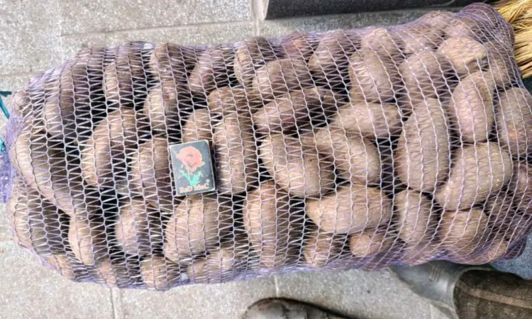 Продается товарный картофель Гренада - фото № 3