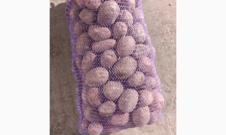 Продажа качественной товарной картошки - фото № 1