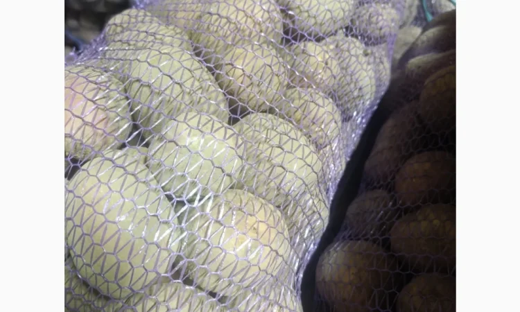 Продажа качественной товарной картошки - фото № 2