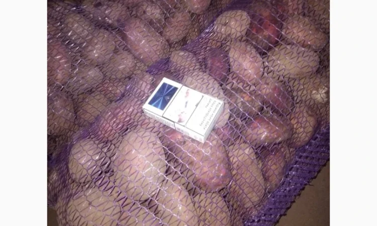 Продается товарная картошка оптом - фото № 2