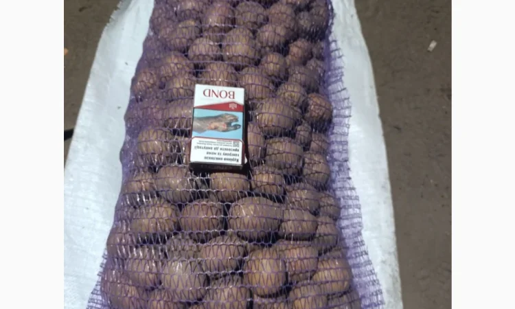 Продажа качественной посадочной картошки - фото № 1