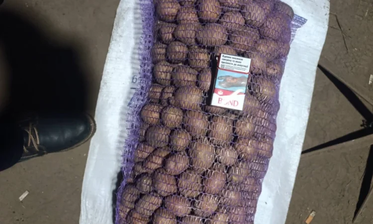 Продажа качественной посадочной картошки - фото № 3