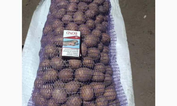 Продажа качественной посадочной картошки - фото № 4