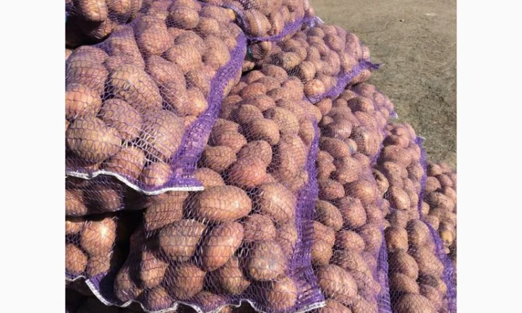 Продажа картофеля продовольственного сорта - фото № 1