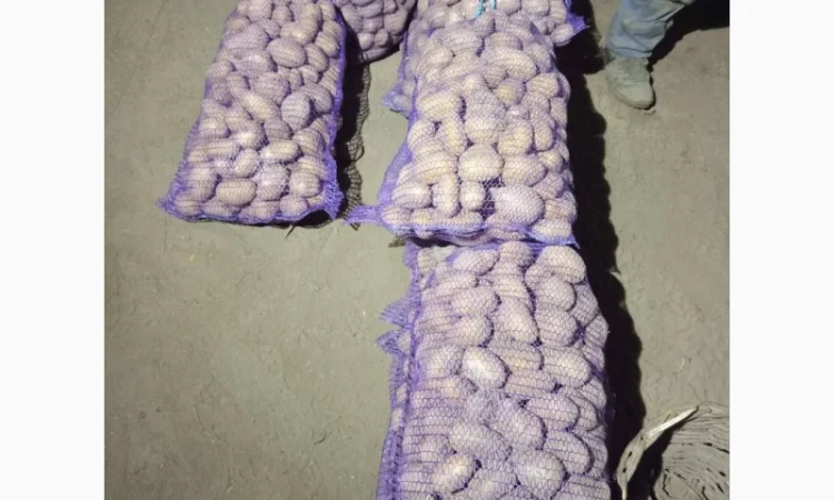 Продается картофель сорт Гренада, Каллет, Беларосса - фото № 6