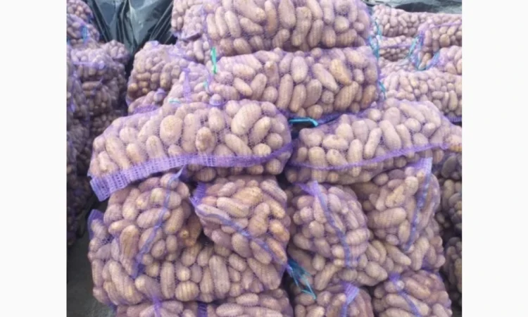 Продажа картофеля оптом по 6 грн за кг - фото № 1