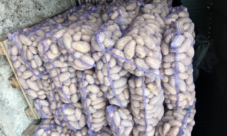 Продается товарная и семенная картошка - фото № 1