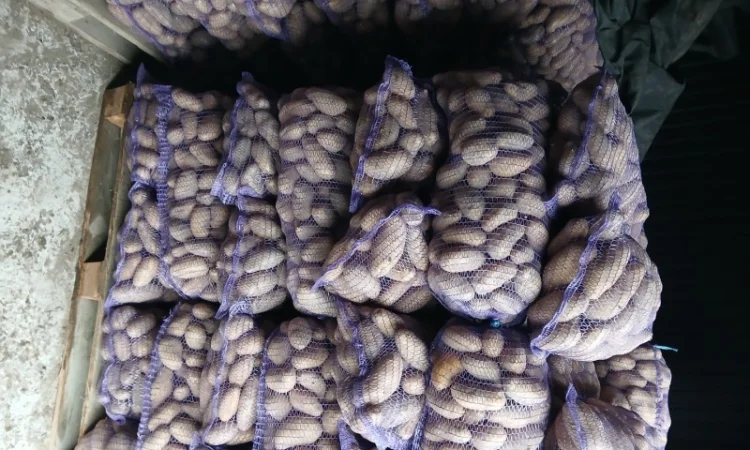 Продается товарная и семенная картошка - фото № 2