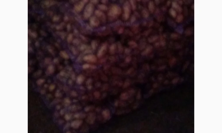 Продается качественная домашняя картошка - фото № 2