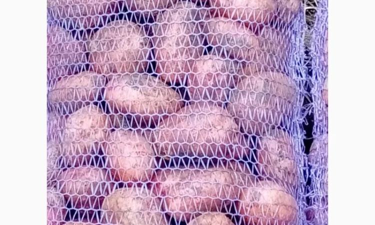 Продается качественная домашняя картошка - фото № 5