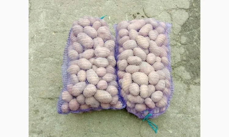 Продается качественная домашняя картошка - фото № 8