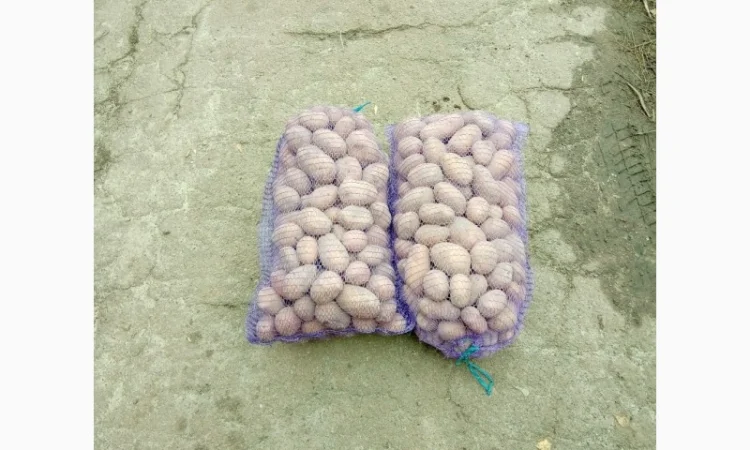 Продается качественная домашняя картошка - фото № 9