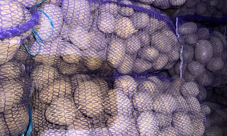 Пропонується картопля різних сортів - фото № 1