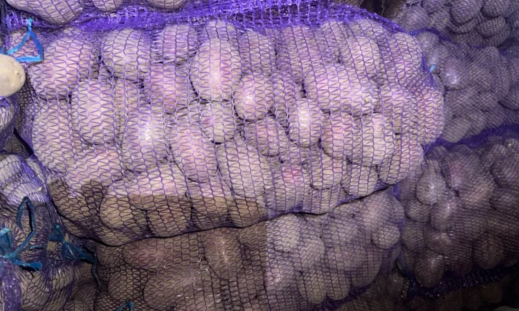 Пропонується картопля різних сортів - фото № 3