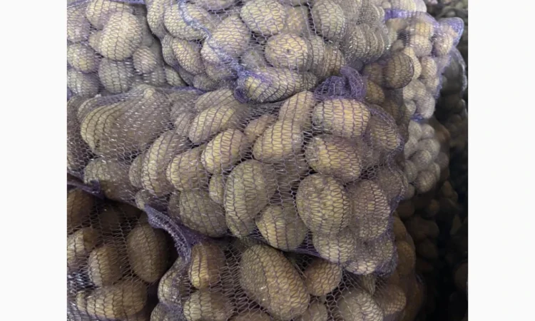 Продается товарная картошка сорта "Мелодия" - фото № 1