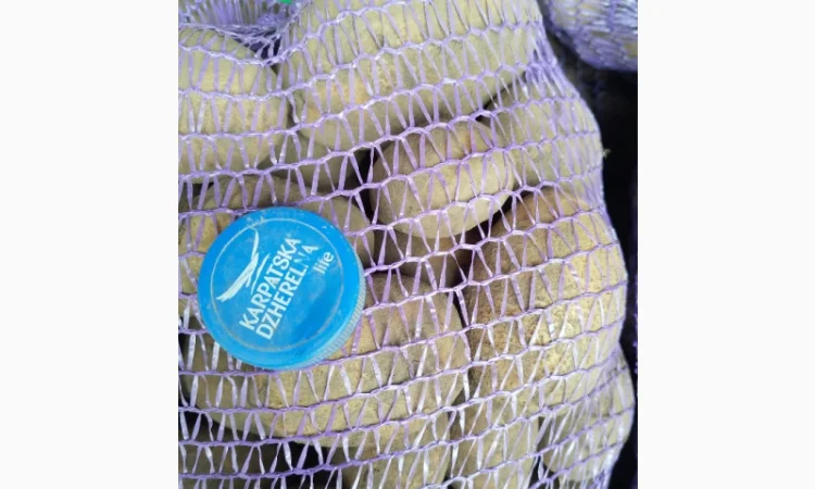 Пропоную картоплю сорту Агрія - фото № 3