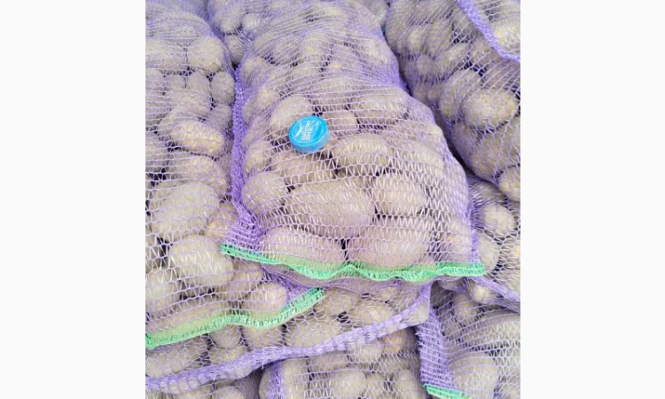 Пропоную картоплю сорту Агрія - фото № 4