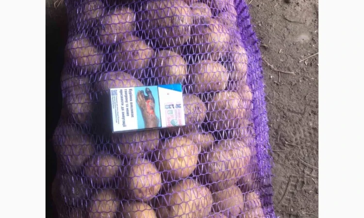 Продается товарный картофель - фото № 1