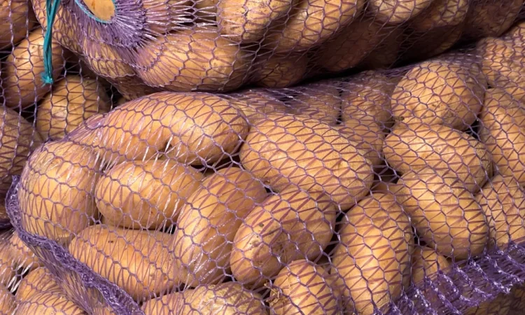 Продается товарная картошка белого и красного сортов - фото № 4