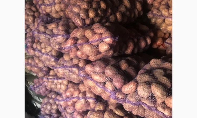 Товарна картопля (Домашня) - фото № 1