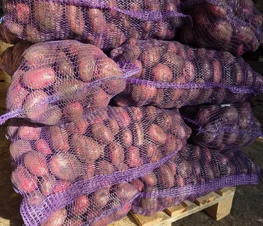 Продажа картофеля разных сортов - фото № 1