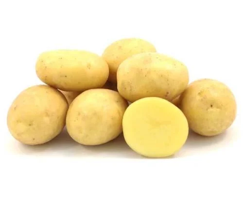 Продается семенной картофель сорта Королева Анна - фото № 1