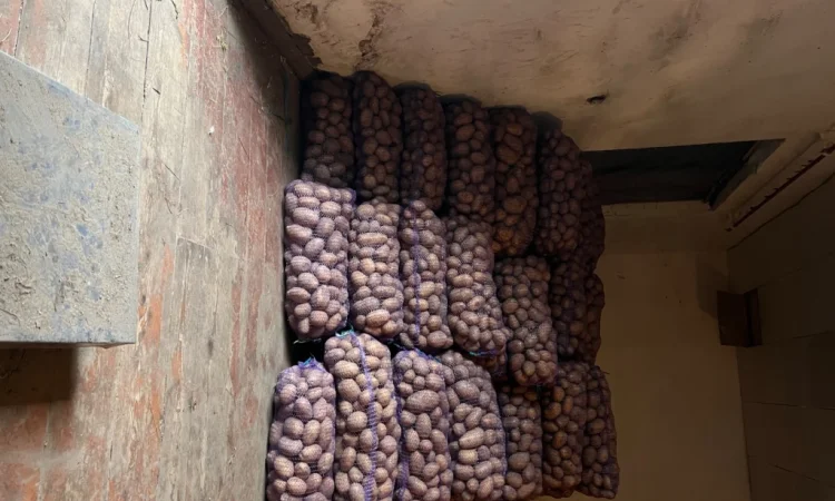 Продается крупная картошка - фото № 3