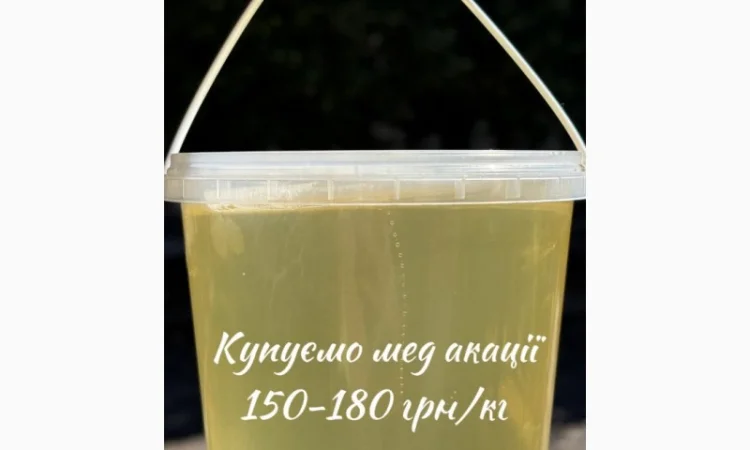 Купуємо мед Акації 2025 року - фото № 1
