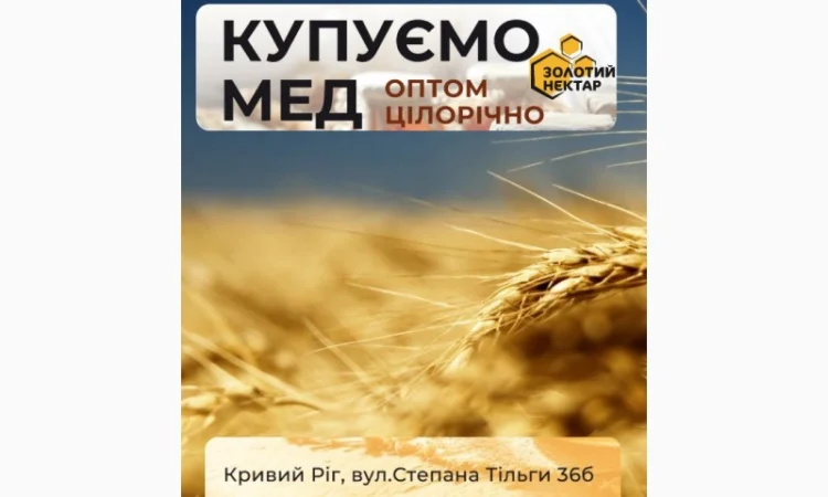 Закупаем мед Растительный сбор-2025 - фото № 1