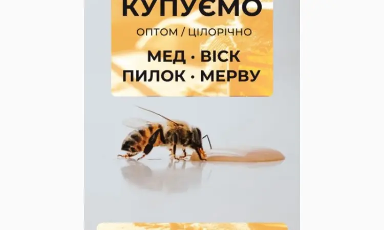 Купуємо мед від 500кг Сумська - фото № 1
