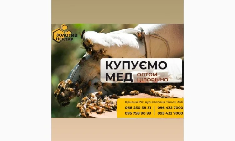 Купим гречишный мед оптом - фото № 1