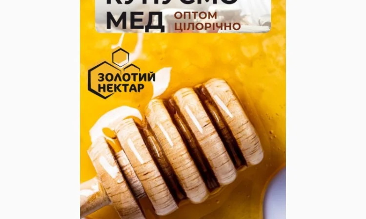 Купуємо липовий мед оптом - фото № 1