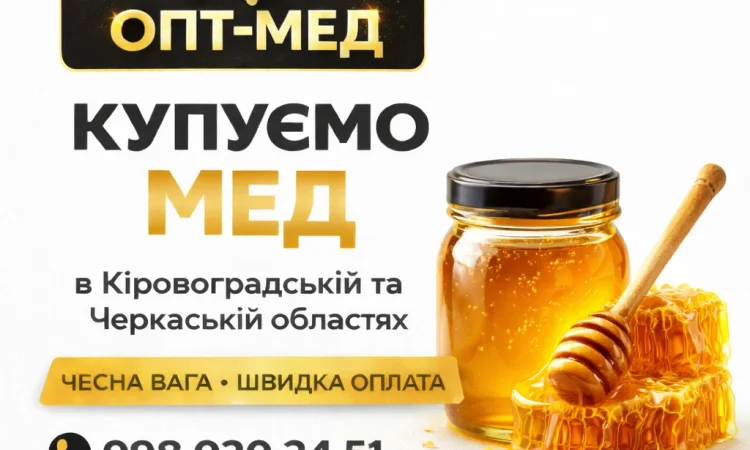 Закупаем качественный мед подсолнечника. Честная весовая - фото № 1